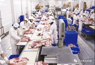 觸目驚心！豬價“跌跌不休”，養殖戶何去何從？食品銷售端迎來新挑戰與機遇